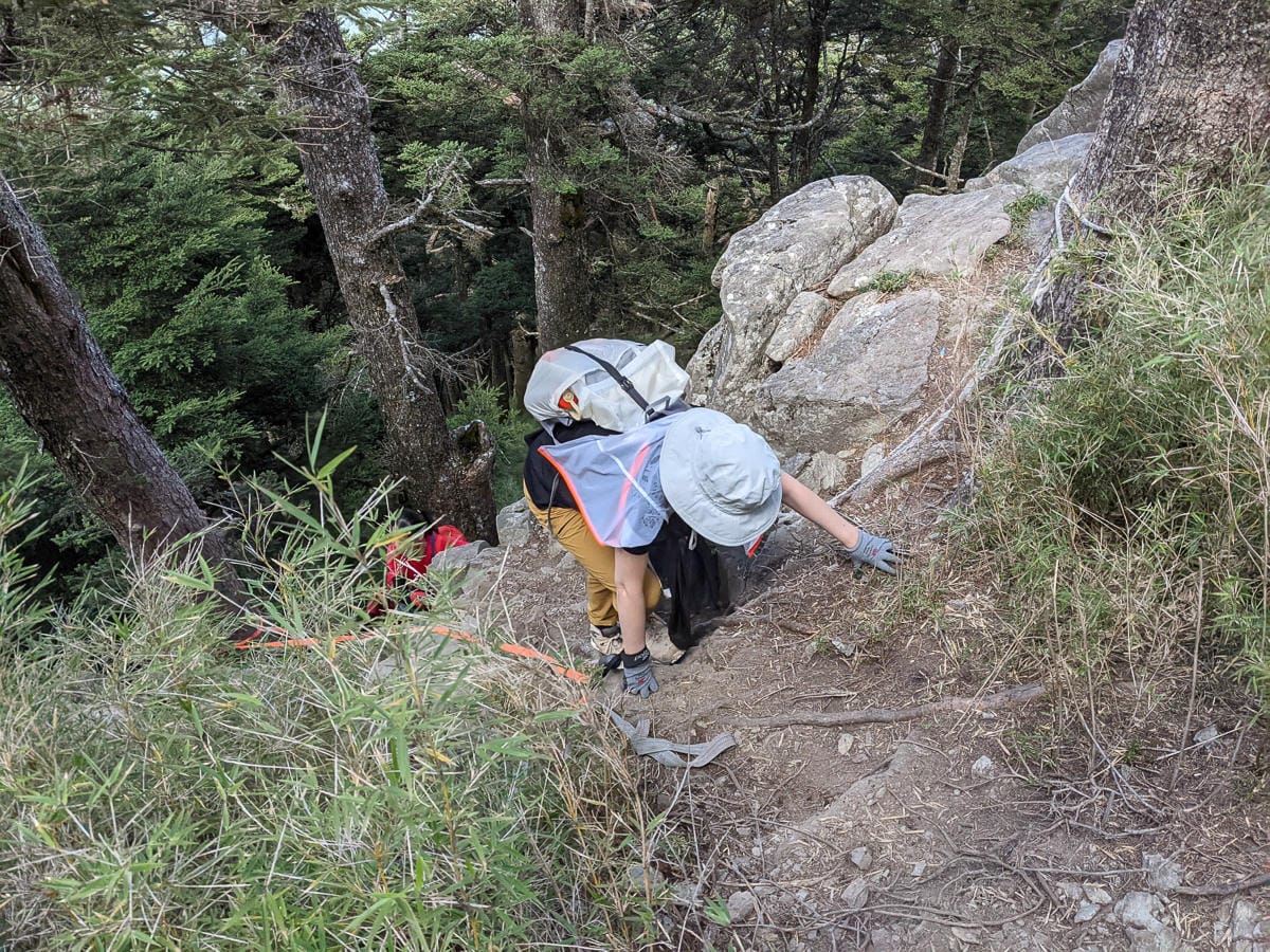 中橫四辣屏風山新路 全天候24小時人氣不間斷百岳高山