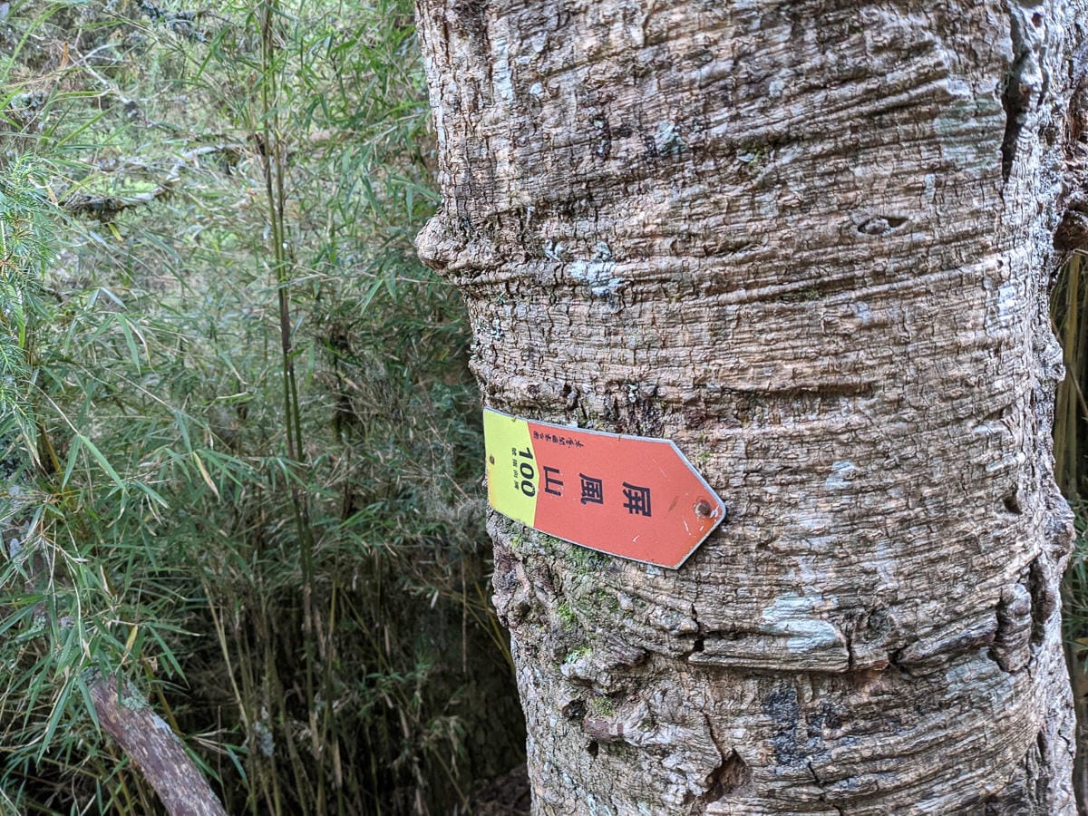 中橫四辣屏風山新路 全天候24小時人氣不間斷百岳高山