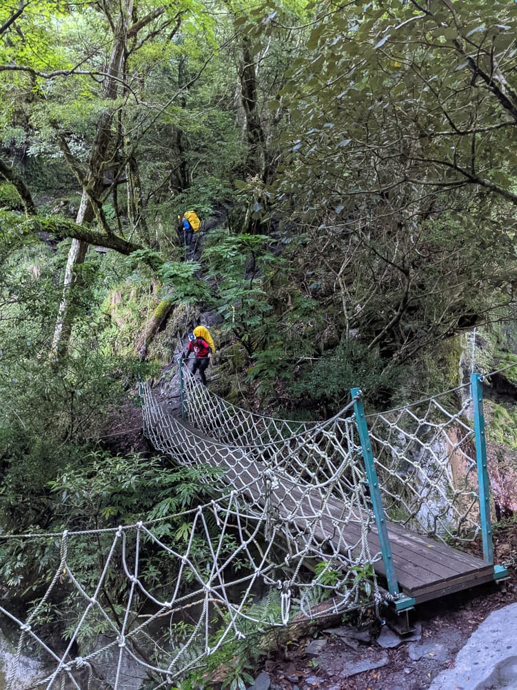 中橫四辣屏風山新路 全天候24小時人氣不間斷百岳高山