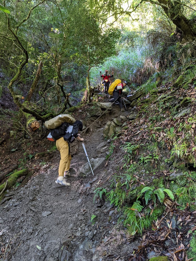 中橫四辣屏風山新路 全天候24小時人氣不間斷百岳高山