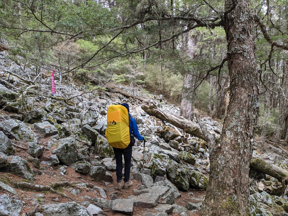 臼井靈氣帶給我的豐盛,完成一階二階三階四階靈氣導師後心得有感 - 第1張圖 臼井靈氣帶給我的豐盛,完成一階二階三階四階靈氣導師後心得有感