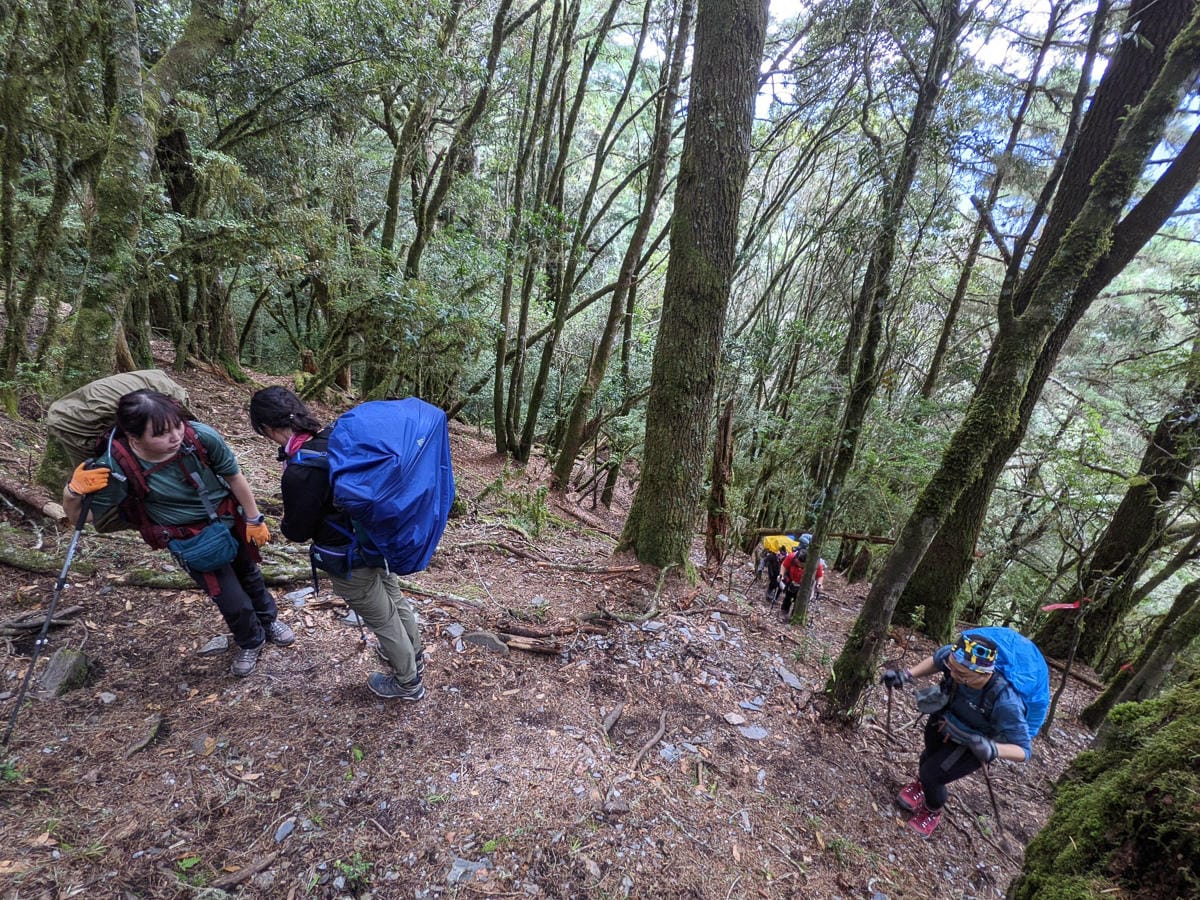 嘉明湖戒茂斯來回 夜宿嘉明湖妹池狂風暴雨狂奔記
