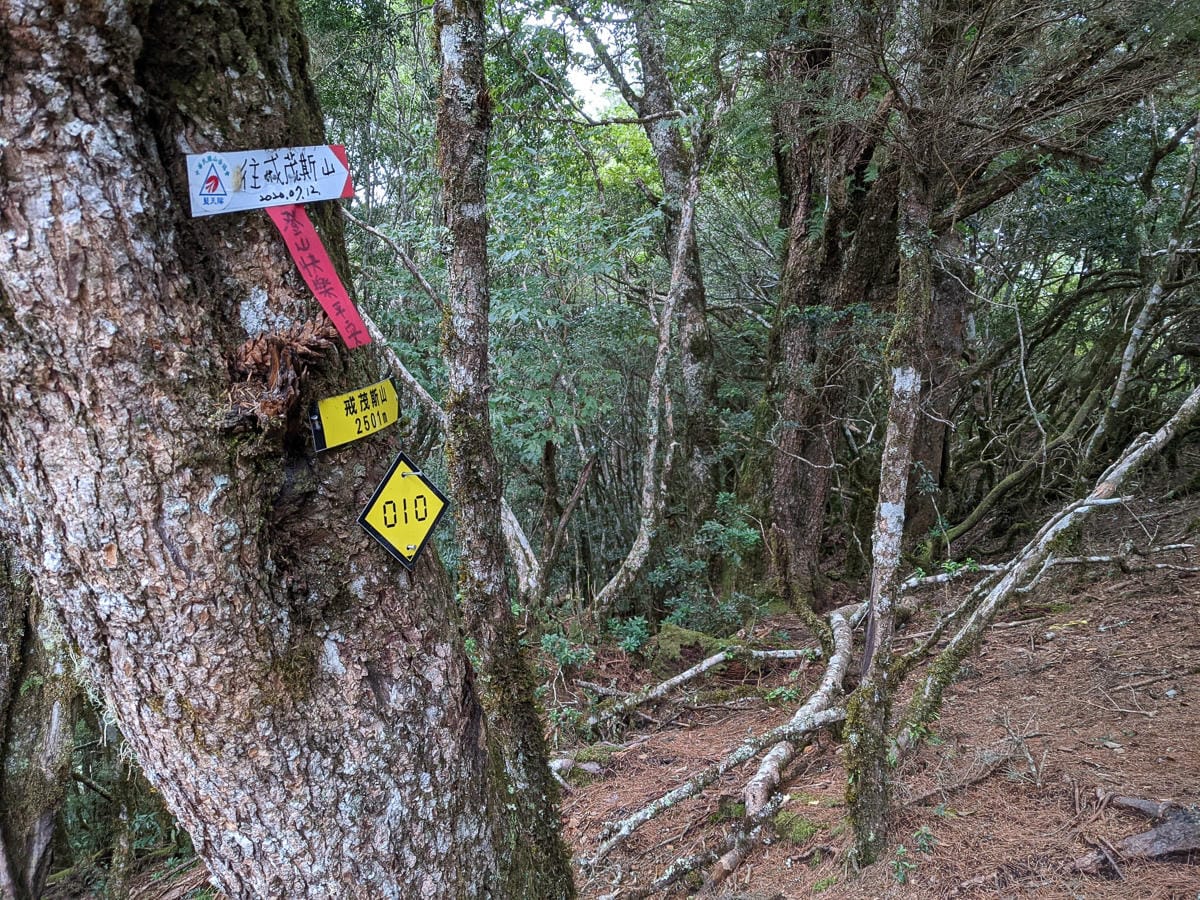 嘉明湖戒茂斯來回 夜宿嘉明湖妹池狂風暴雨狂奔記