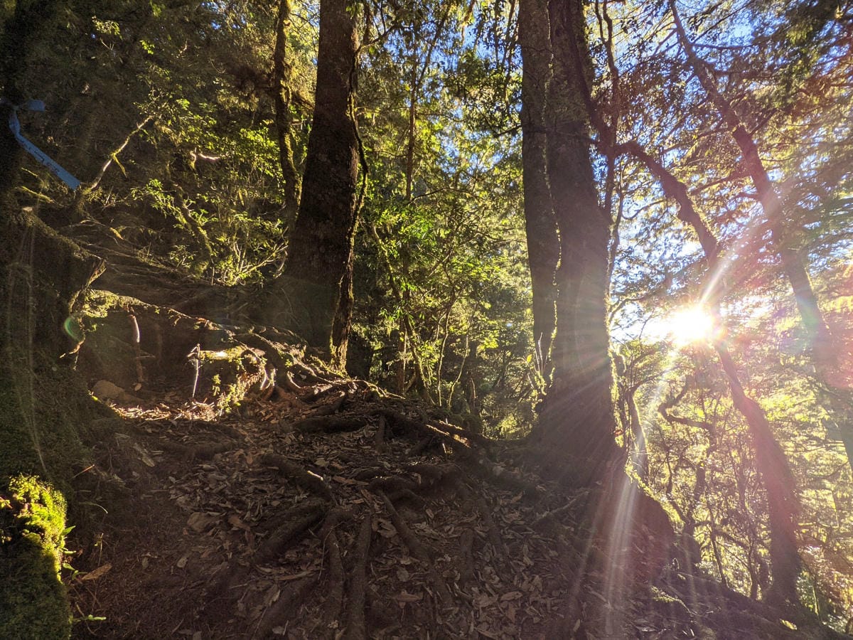 嘉明湖戒茂斯來回 夜宿嘉明湖妹池狂風暴雨狂奔記