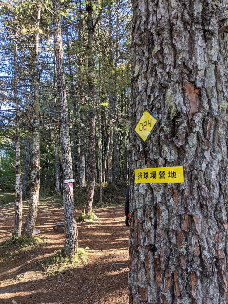 嘉明湖戒茂斯來回 夜宿嘉明湖妹池狂風暴雨狂奔記