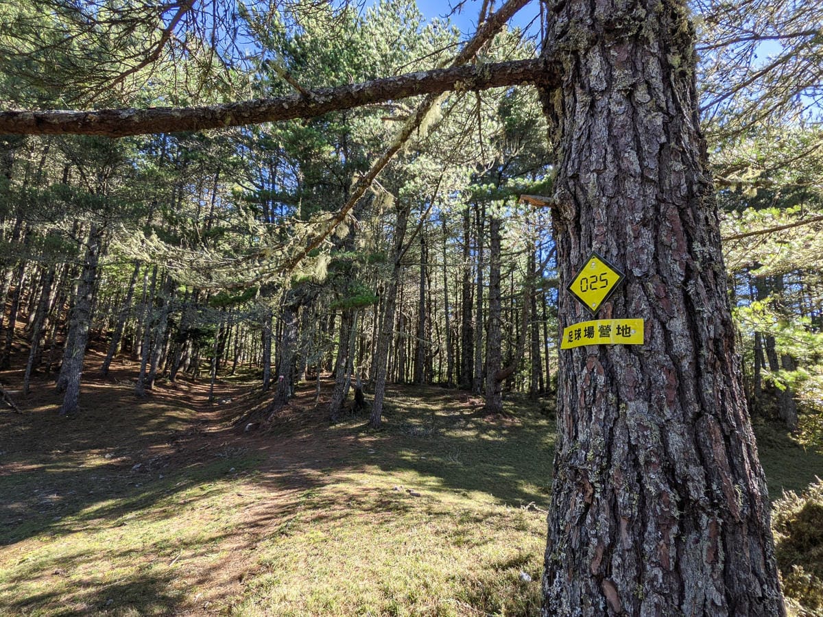 嘉明湖戒茂斯來回 夜宿嘉明湖妹池狂風暴雨狂奔記