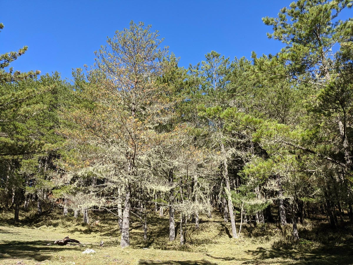 嘉明湖戒茂斯來回 夜宿嘉明湖妹池狂風暴雨狂奔記