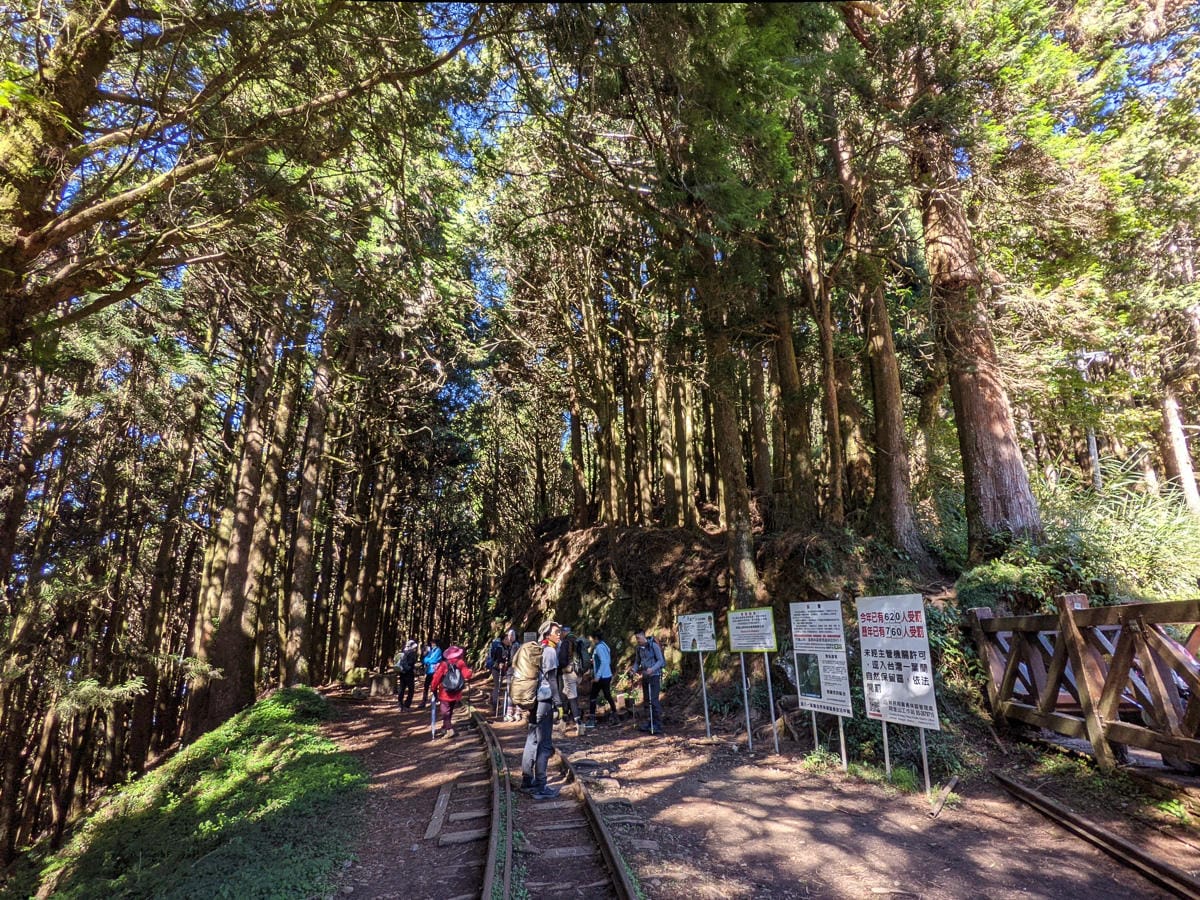 阿里山眠月線翻新 頭燈必備穿越隧道拉繩申請入園值得來