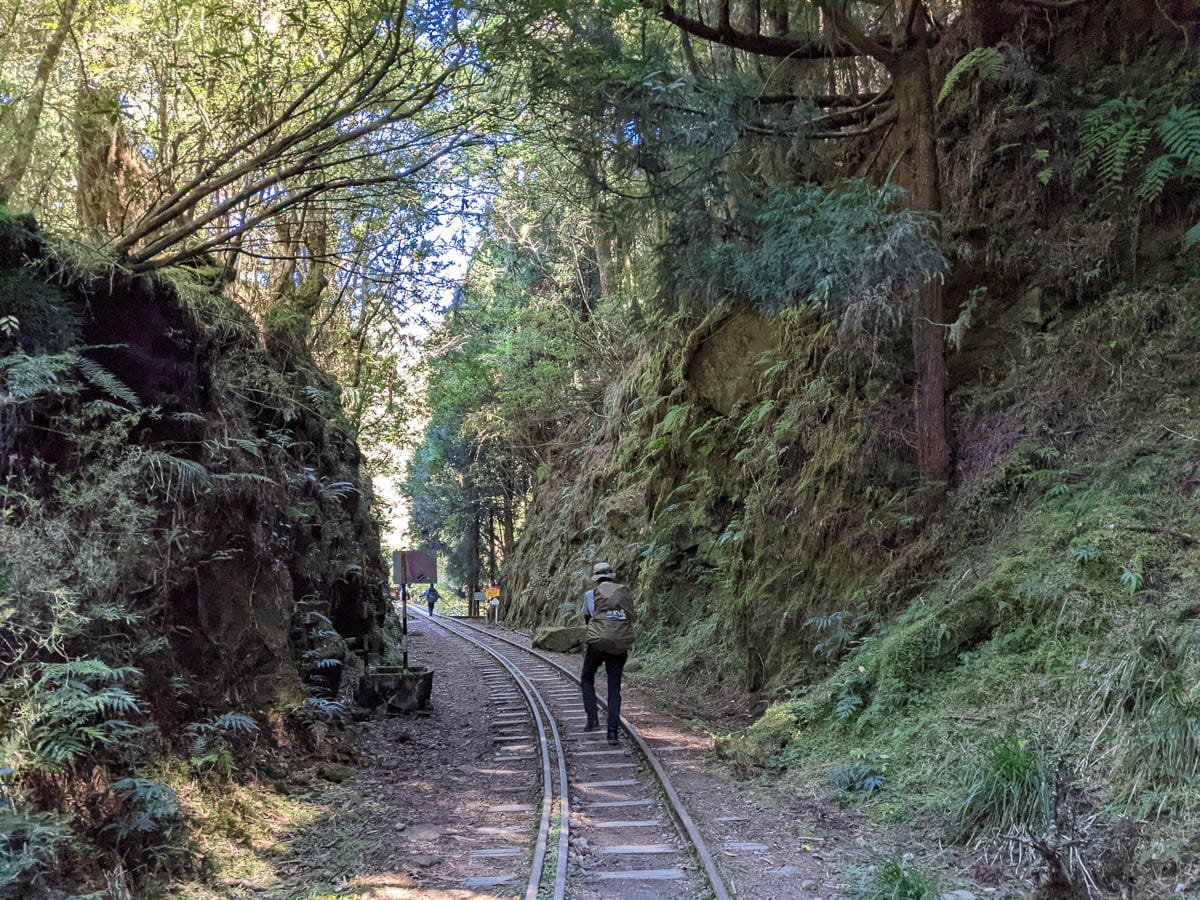 阿里山眠月線翻新 頭燈必備穿越隧道拉繩申請入園值得來