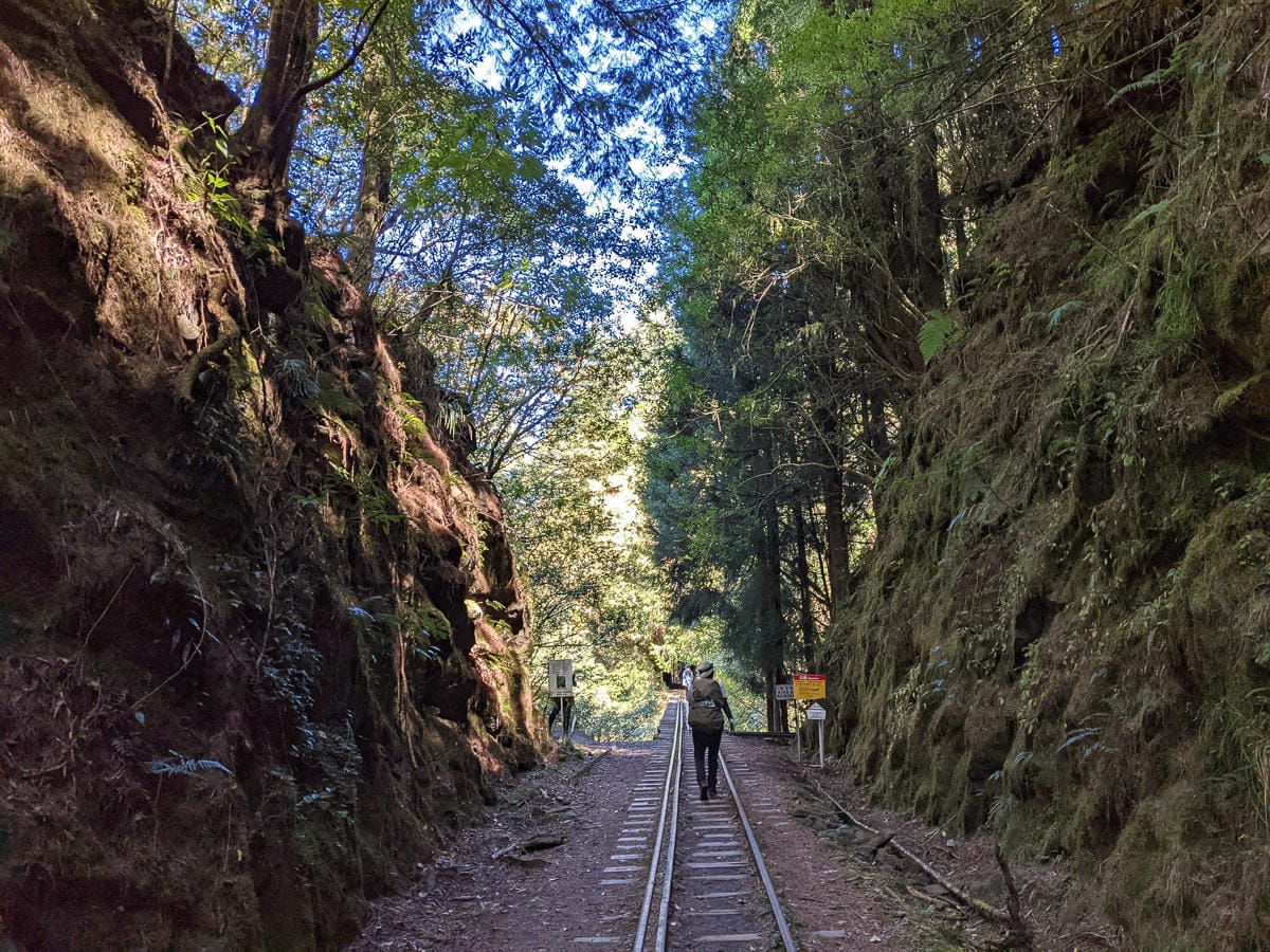 阿里山眠月線翻新 頭燈必備穿越隧道拉繩申請入園值得來