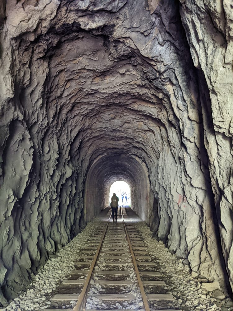 阿里山眠月線翻新 頭燈必備穿越隧道拉繩申請入園值得來