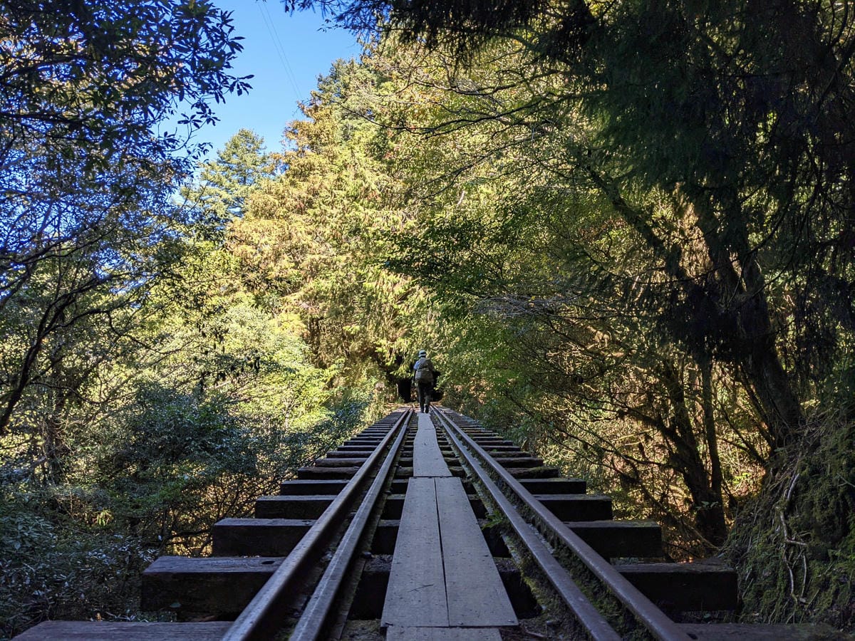 阿里山眠月線翻新 頭燈必備穿越隧道拉繩申請入園值得來