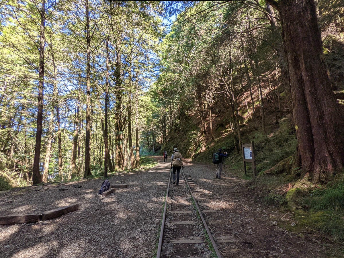 阿里山眠月線翻新 頭燈必備穿越隧道拉繩申請入園值得來