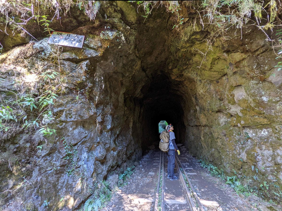 阿里山眠月線翻新 頭燈必備穿越隧道拉繩申請入園值得來