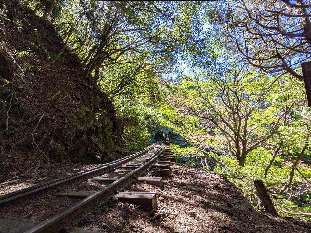 阿里山眠月線翻新 頭燈必備穿越隧道拉繩申請入園值得來