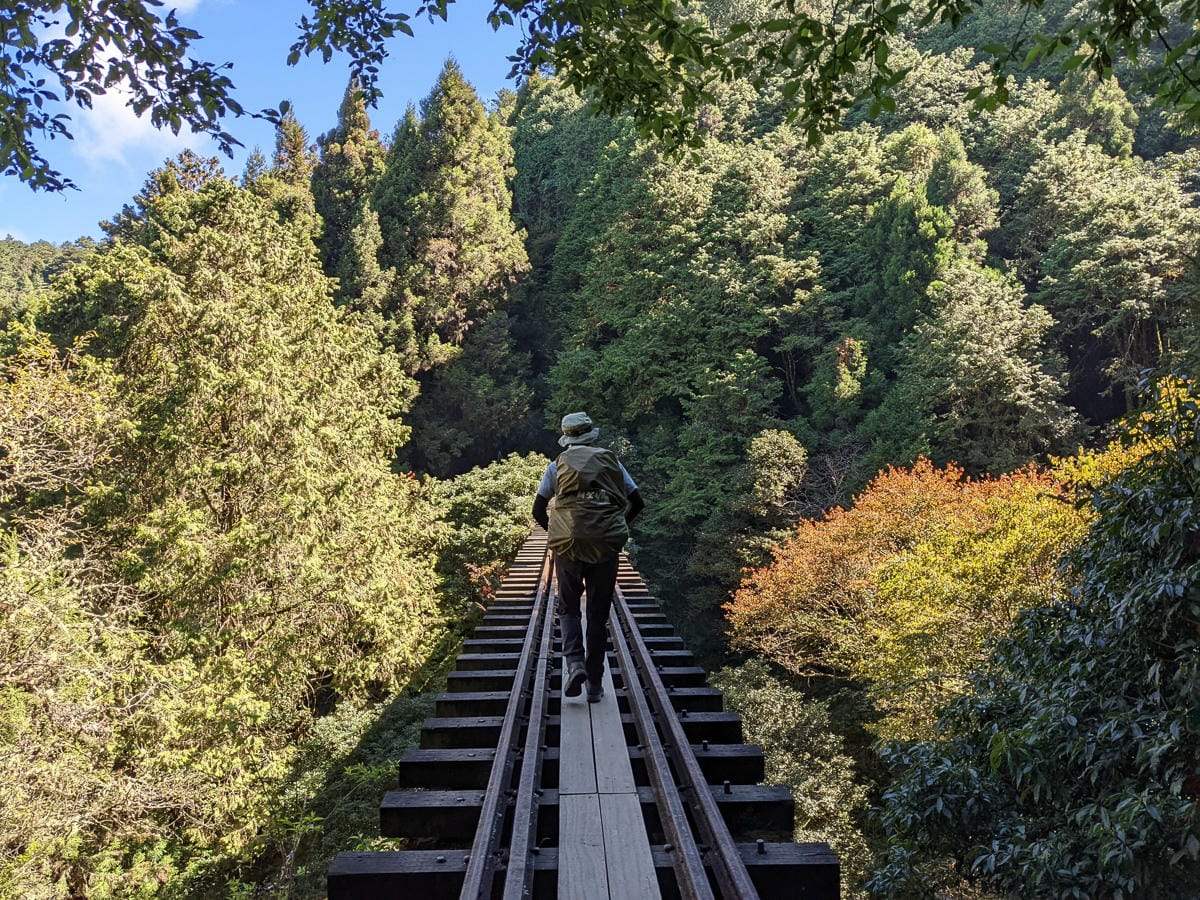 阿里山眠月線翻新 頭燈必備穿越隧道拉繩申請入園值得來