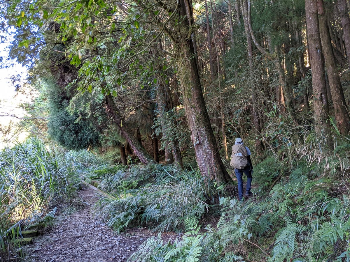 阿里山眠月線翻新 頭燈必備穿越隧道拉繩申請入園值得來
