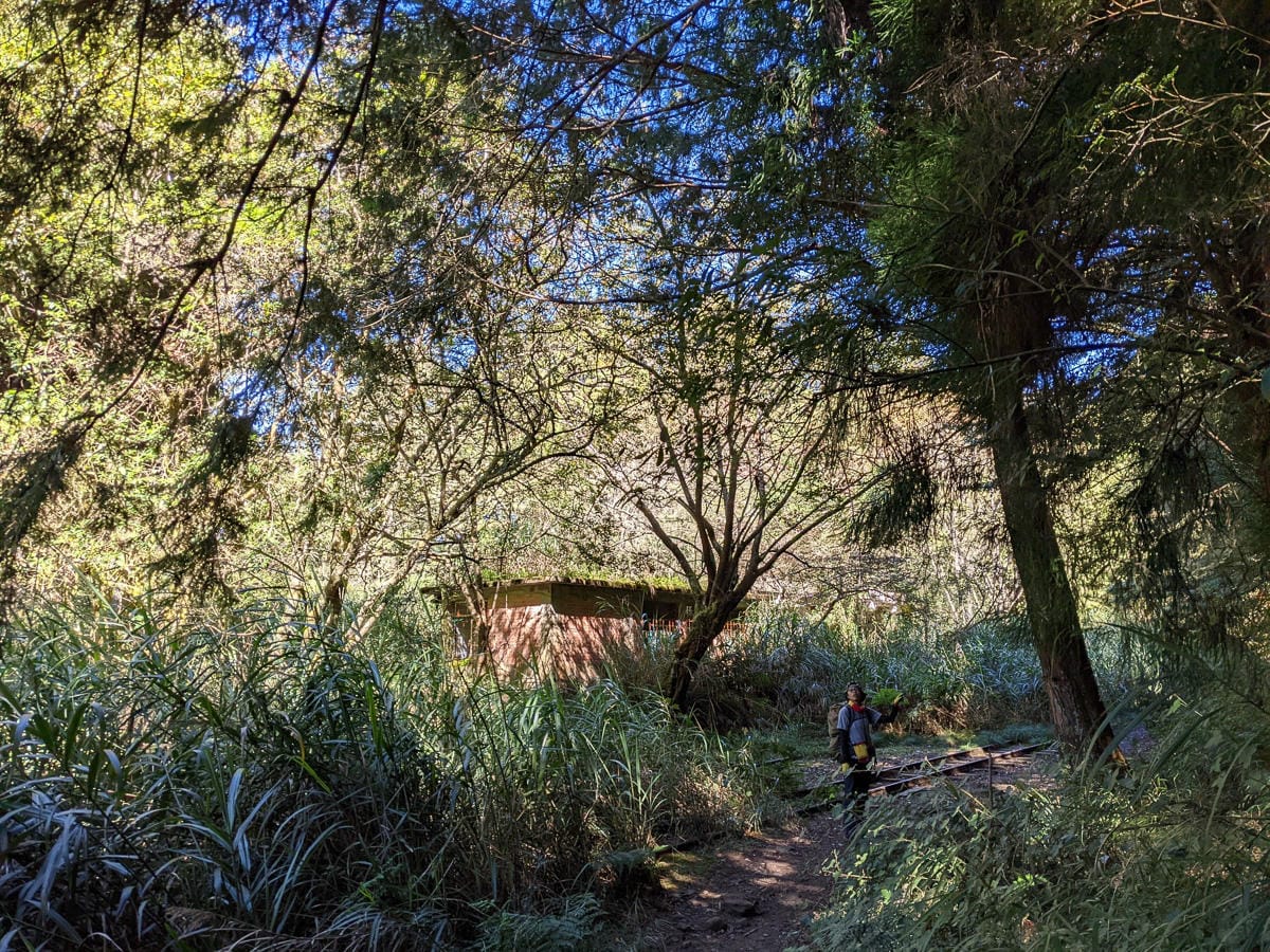 阿里山眠月線翻新 頭燈必備穿越隧道拉繩申請入園值得來