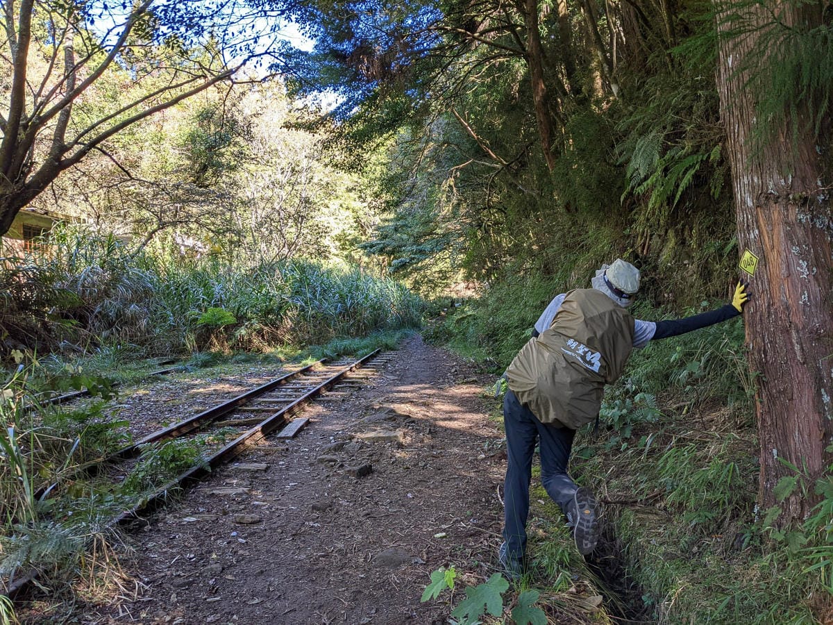 阿里山眠月線翻新 頭燈必備穿越隧道拉繩申請入園值得來