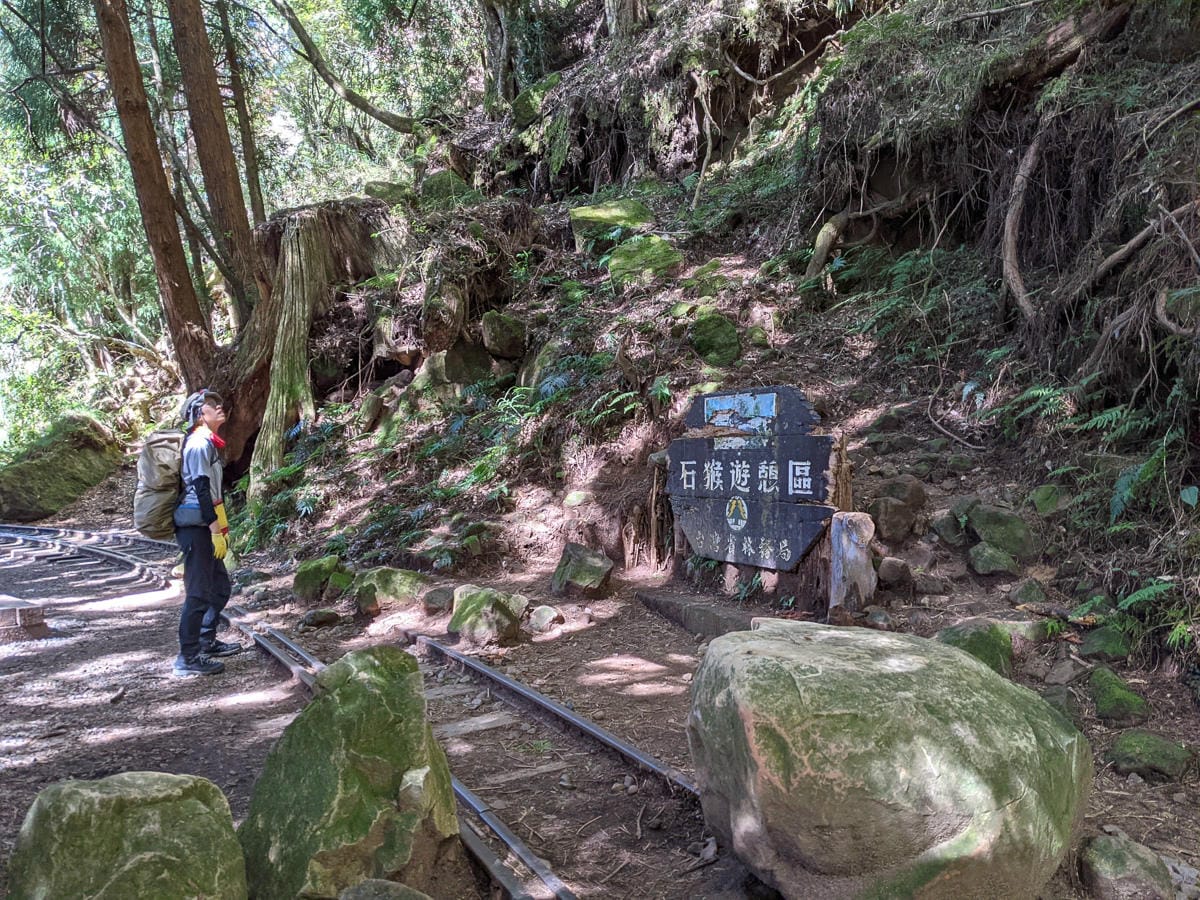 阿里山眠月線翻新 頭燈必備穿越隧道拉繩申請入園值得來
