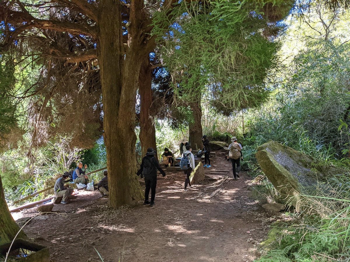 阿里山眠月線翻新 頭燈必備穿越隧道拉繩申請入園值得來