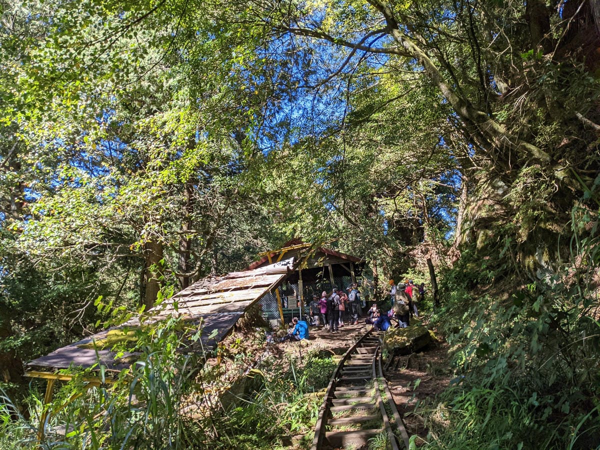 阿里山眠月線翻新 頭燈必備穿越隧道拉繩申請入園值得來