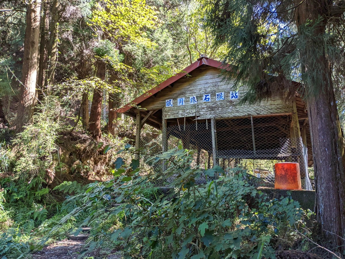 阿里山眠月線翻新 頭燈必備穿越隧道拉繩申請入園值得來