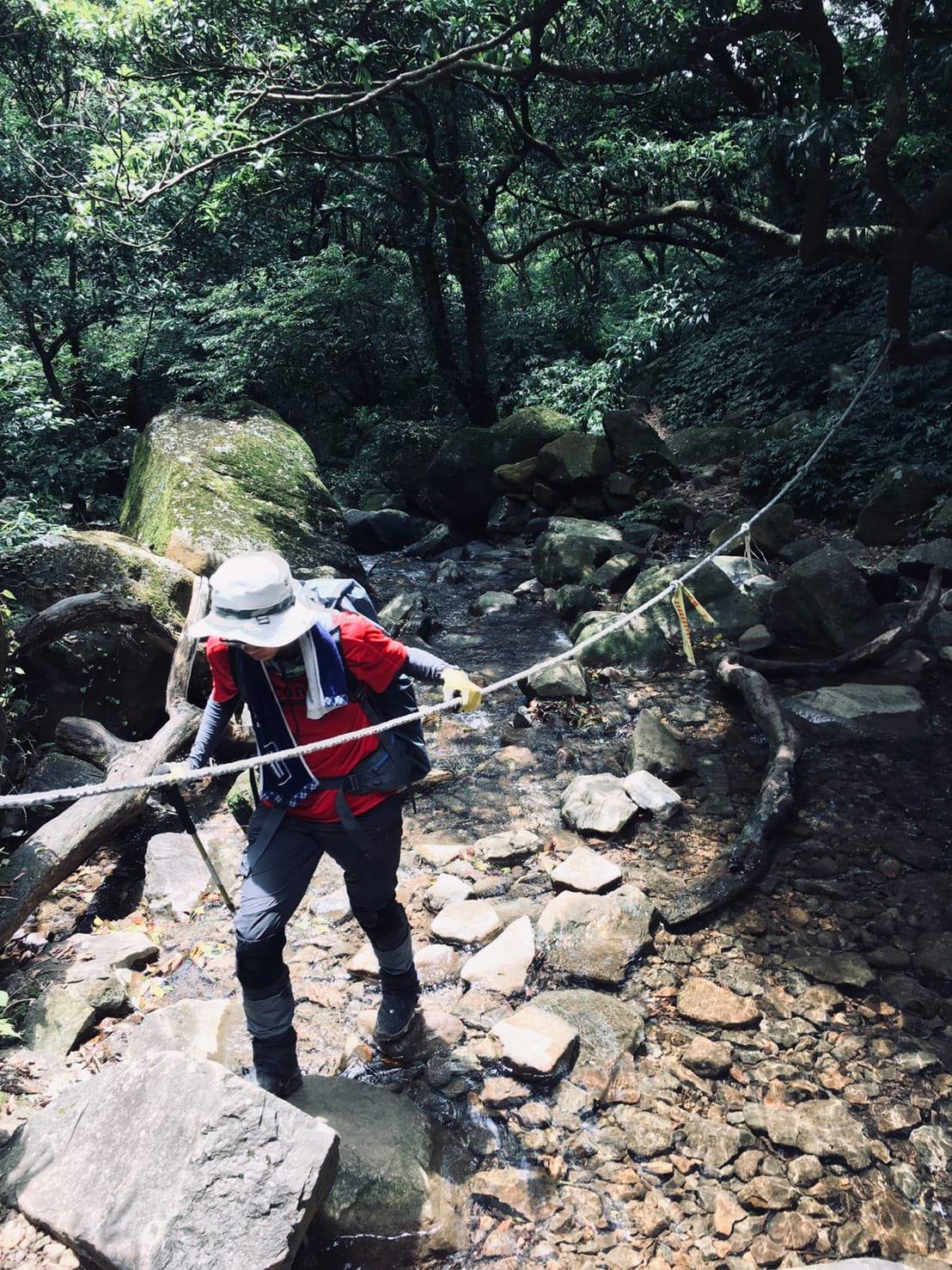 臼井靈氣一階工作坊冬季班結業 授課感想