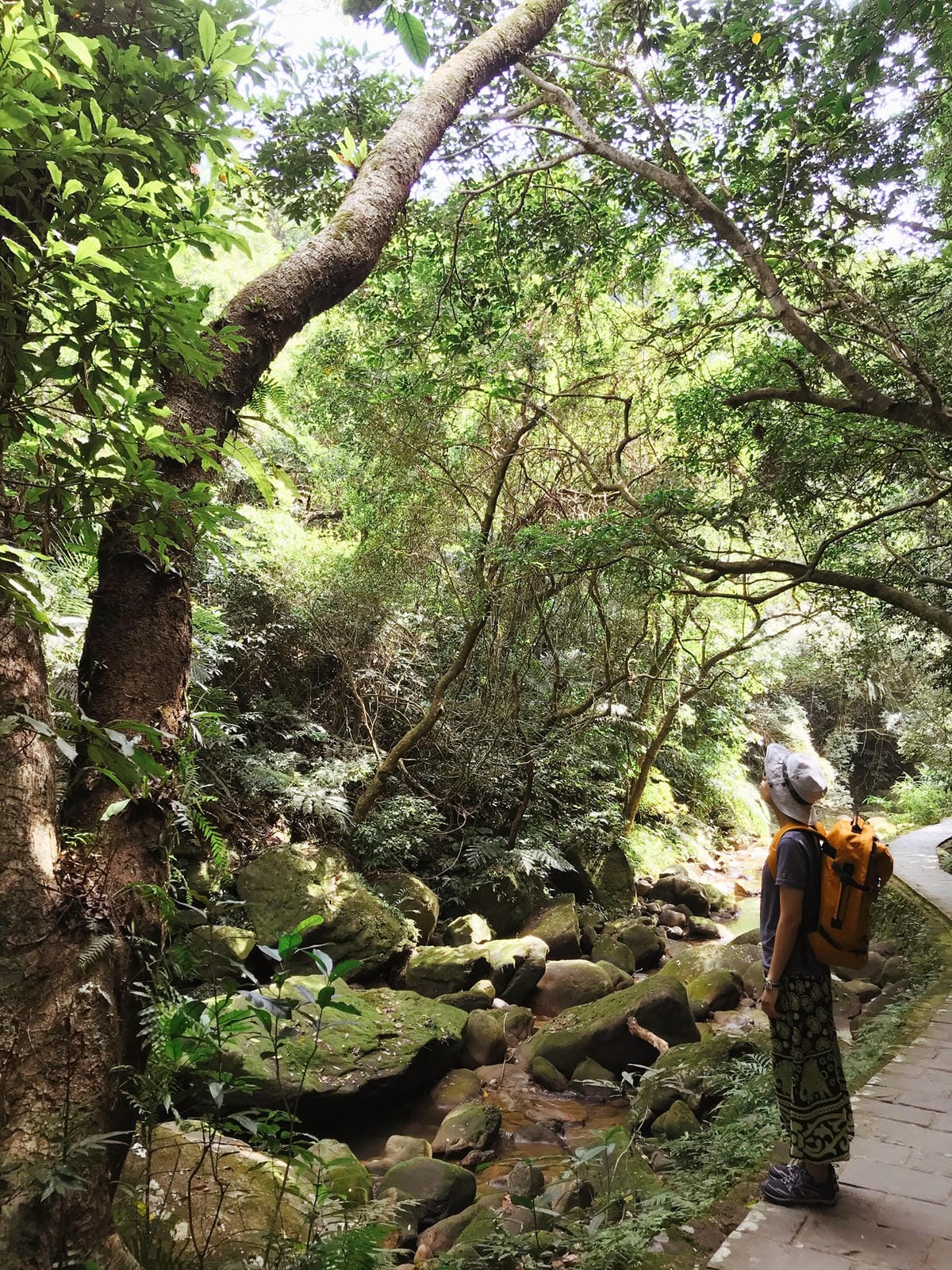 臼井靈氣一階工作坊 2022年台北班 靈氣國際證書課程說明