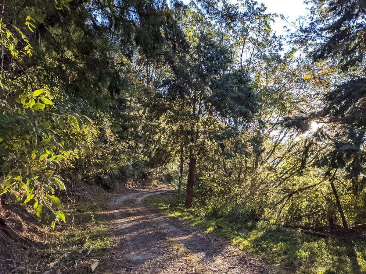大霸尖山世紀群峰風雨急轉 傳聞大鹿林道17K很勵志D1