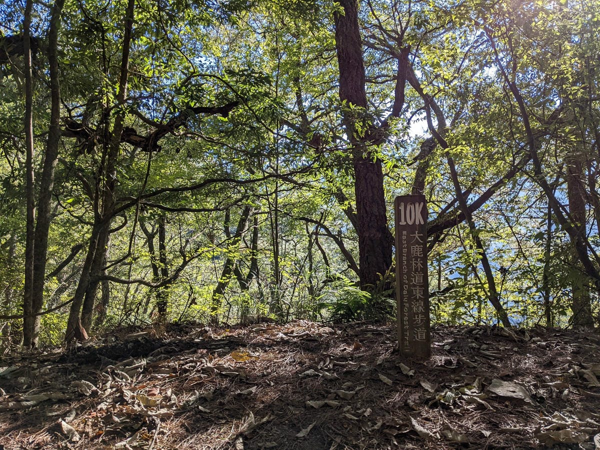 大霸尖山世紀群峰風雨急轉 傳聞大鹿林道17K很勵志D1