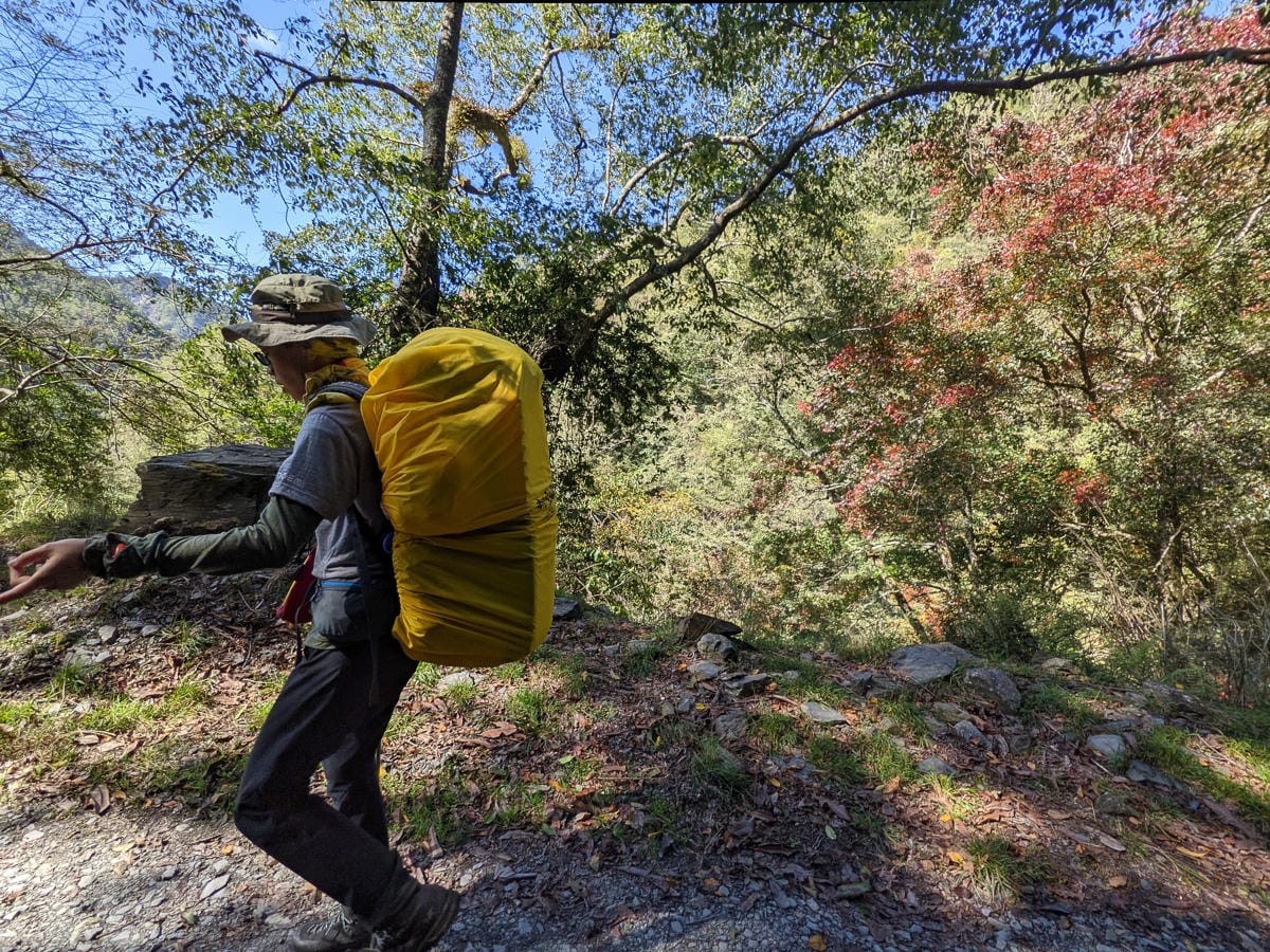 大霸尖山世紀群峰風雨急轉 傳聞大鹿林道17K很勵志D1