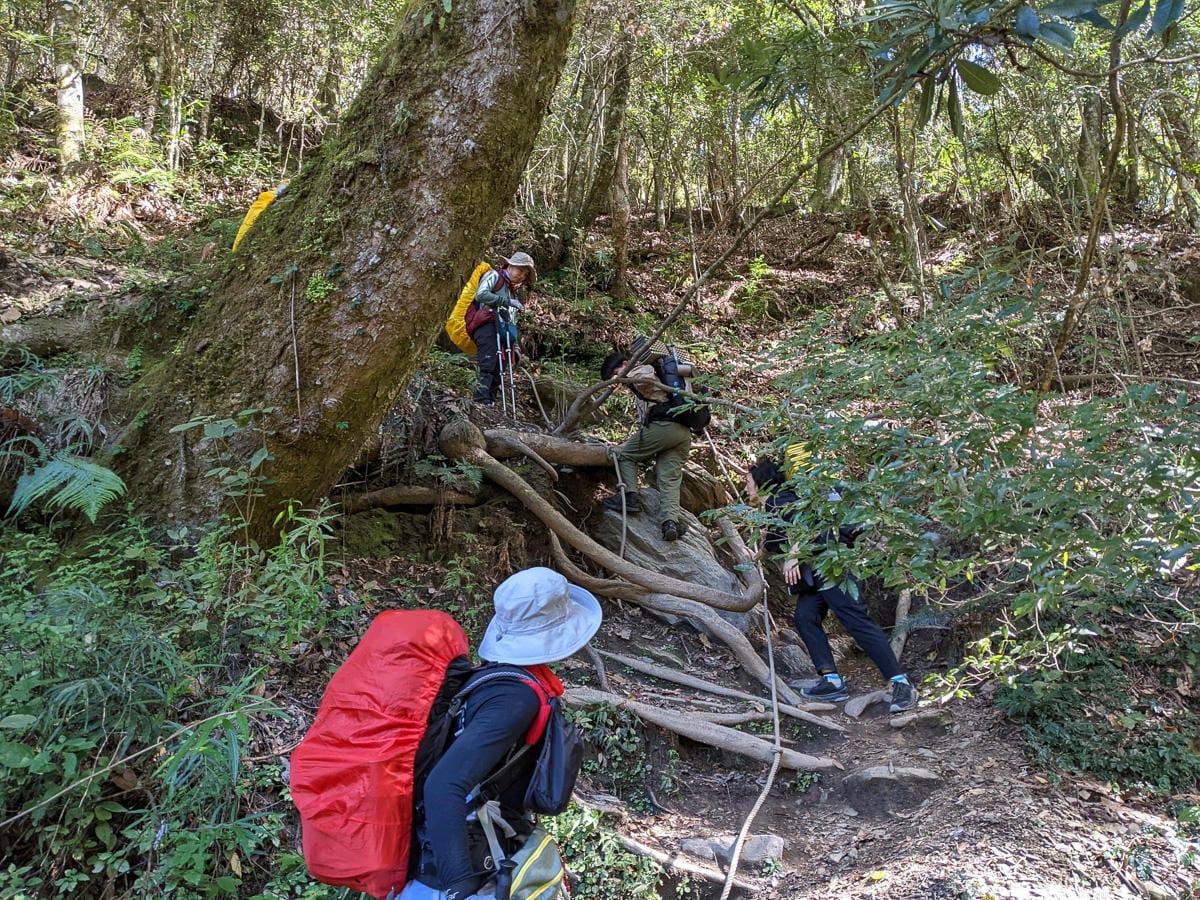 大霸尖山世紀群峰風雨急轉 傳聞大鹿林道17K很勵志D1