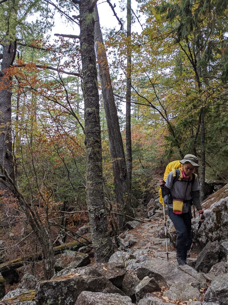 大霸尖山世紀群峰風雨急轉 傳聞大鹿林道17K很勵志D1