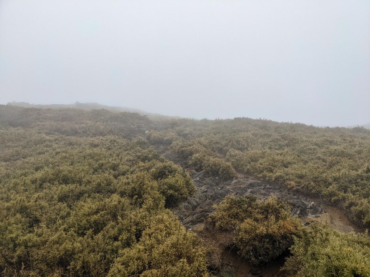大霸尖山世紀群峰風雨急轉 傳聞大鹿林道17K大霸來了D2