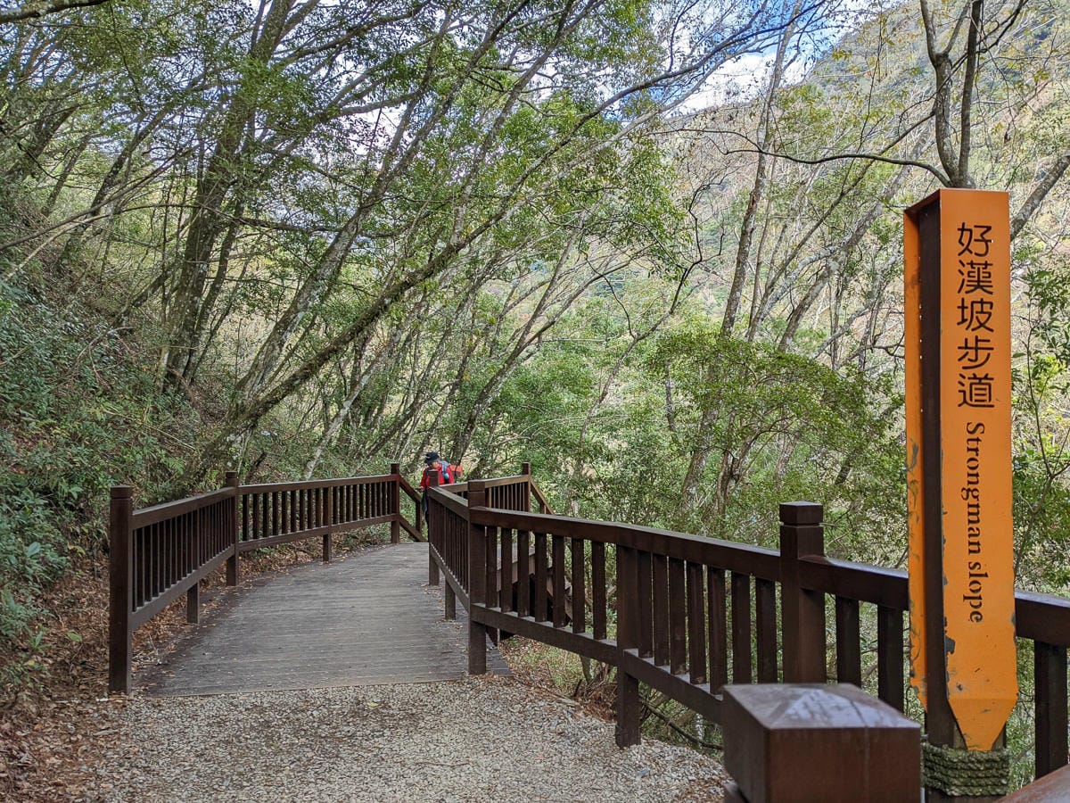 萬大北溪溫泉 奧萬大南投冬季之峽谷露營星空滿佈