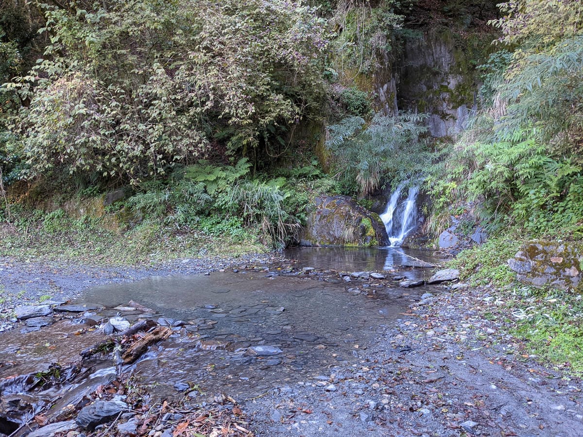 大霸尖山世紀群峰風雨急轉 傳聞大鹿林道17K霸等我再來D3
