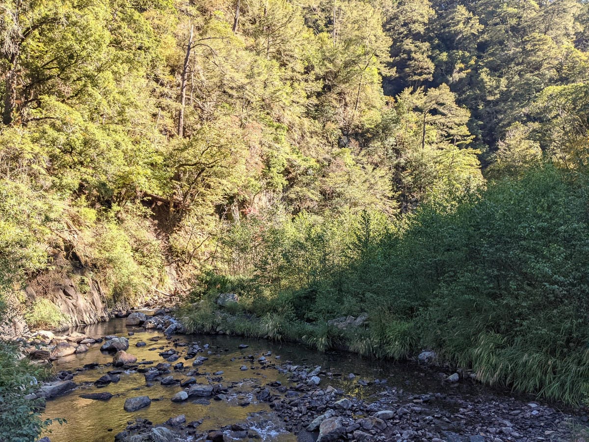 大霸尖山世紀群峰風雨急轉 傳聞大鹿林道17K霸等我再來D3
