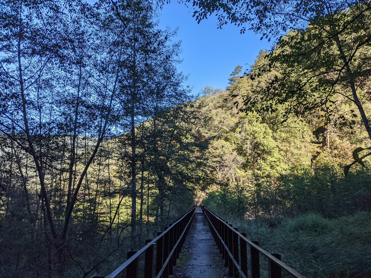 大霸尖山世紀群峰風雨急轉 傳聞大鹿林道17K霸等我再來D3
