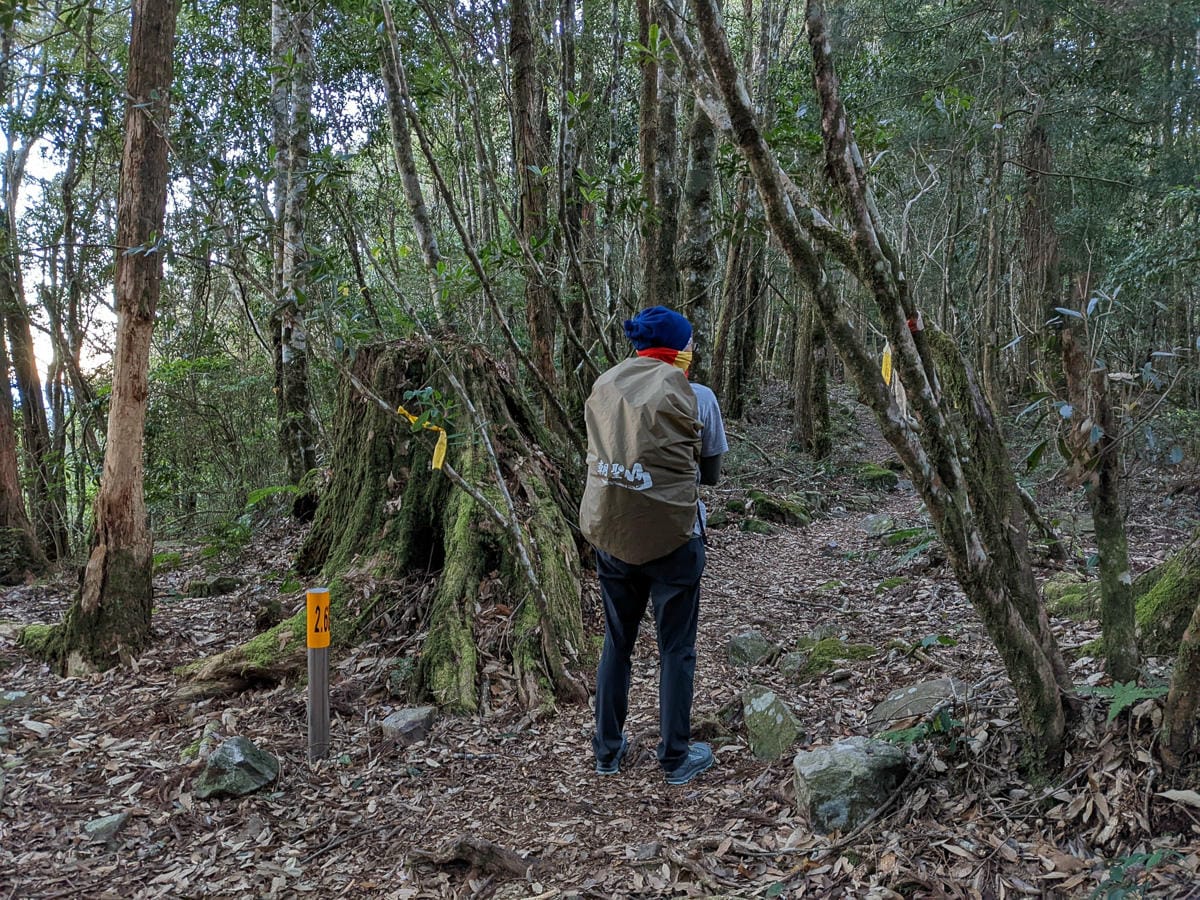西巒大山難度？南投百岳單攻聖品玉山最北端冬天出大景