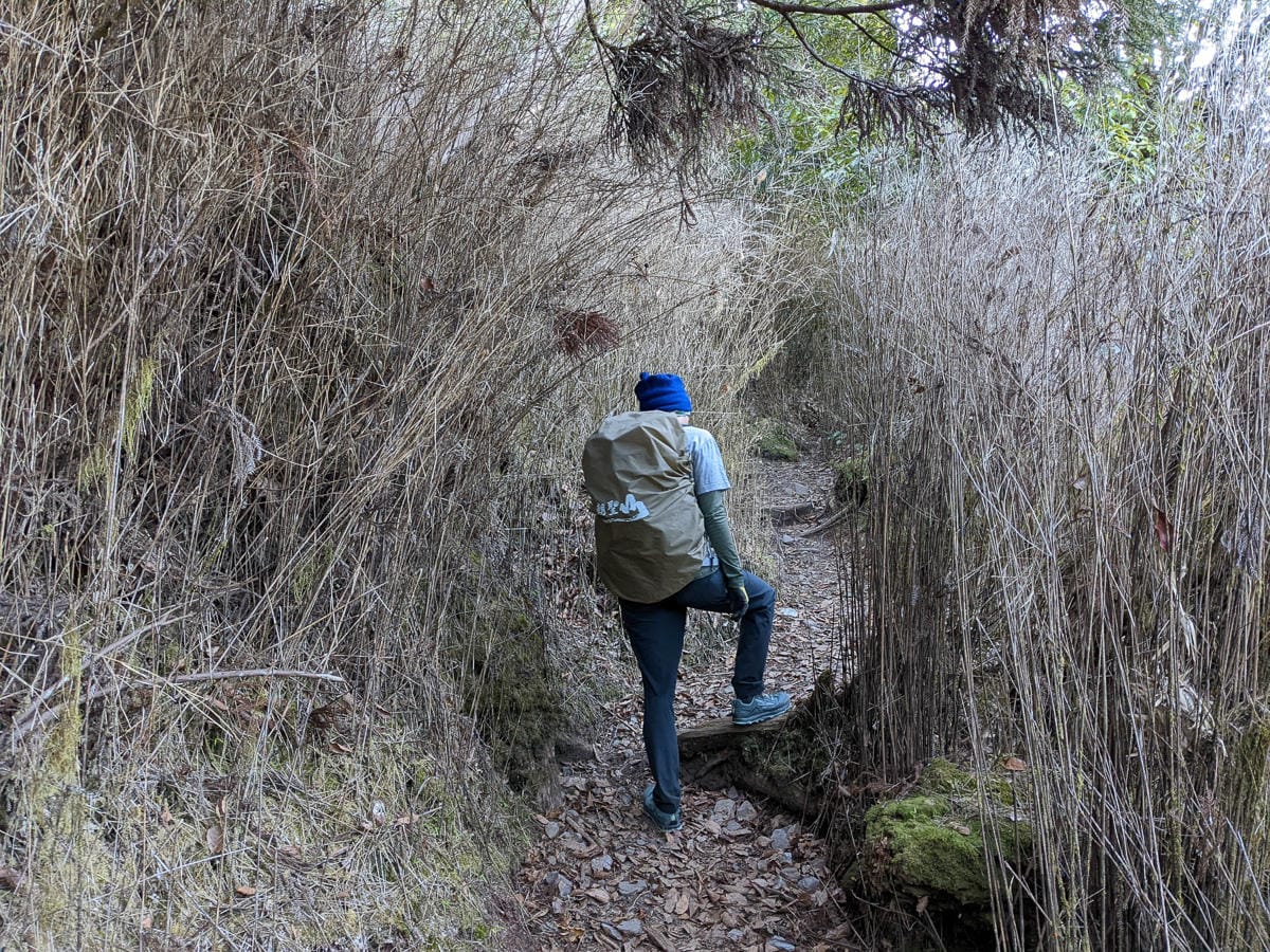 西巒大山難度？南投百岳單攻聖品玉山最北端冬天出大景