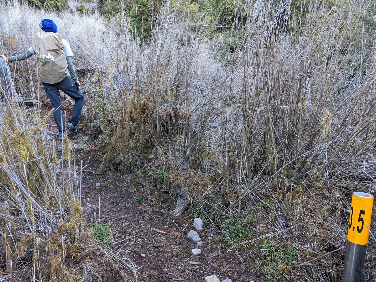 西巒大山難度？南投百岳單攻聖品玉山最北端冬天出大景