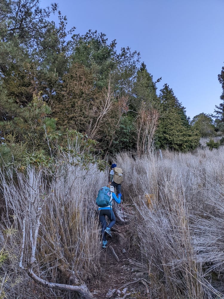 西巒大山難度？南投百岳單攻聖品玉山最北端冬天出大景