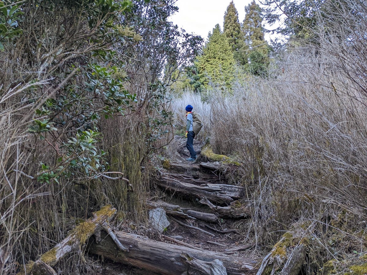 西巒大山難度？南投百岳單攻聖品玉山最北端冬天出大景