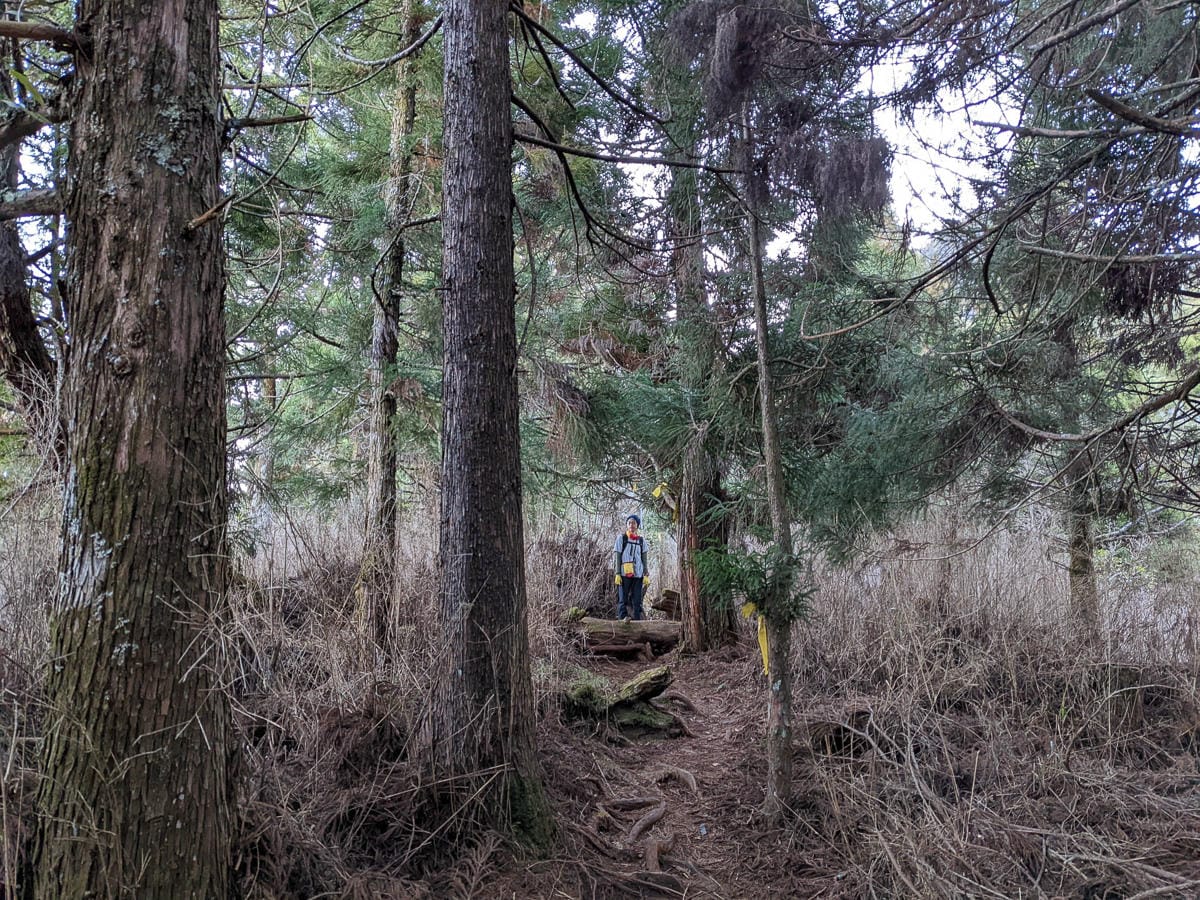 西巒大山難度？南投百岳單攻聖品玉山最北端冬天出大景