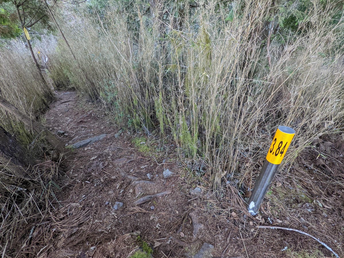 西巒大山難度？南投百岳單攻聖品玉山最北端冬天出大景