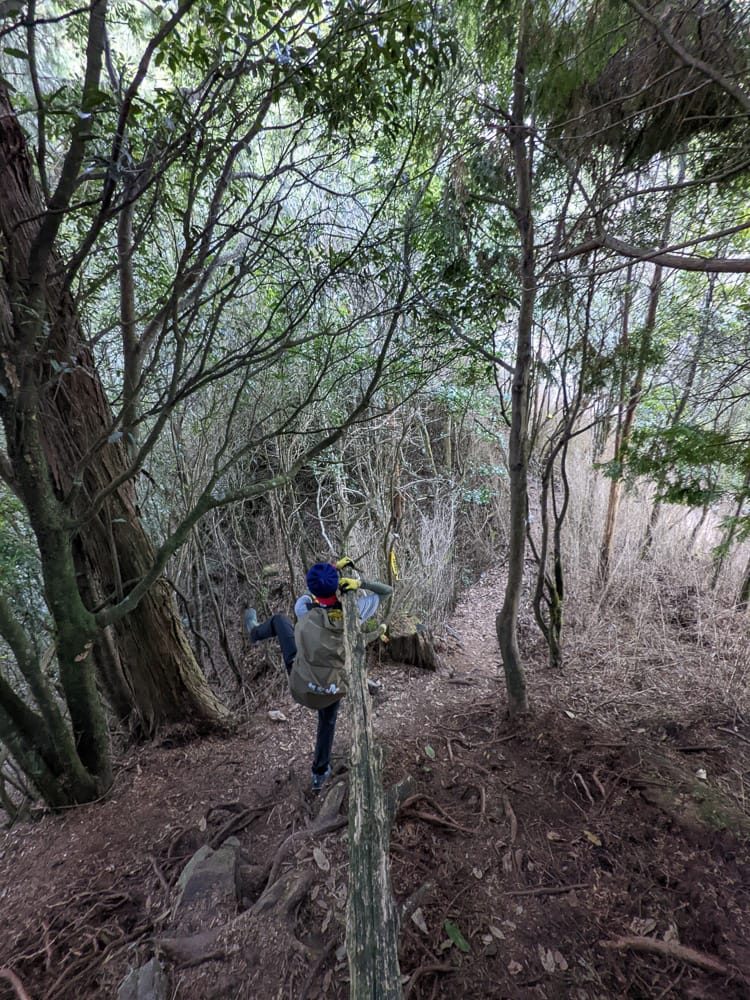 西巒大山難度？南投百岳單攻聖品玉山最北端冬天出大景