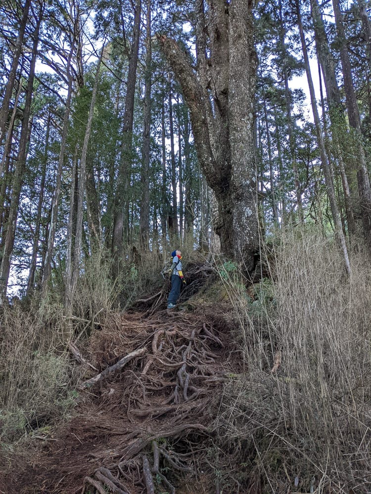 西巒大山難度？南投百岳單攻聖品玉山最北端冬天出大景