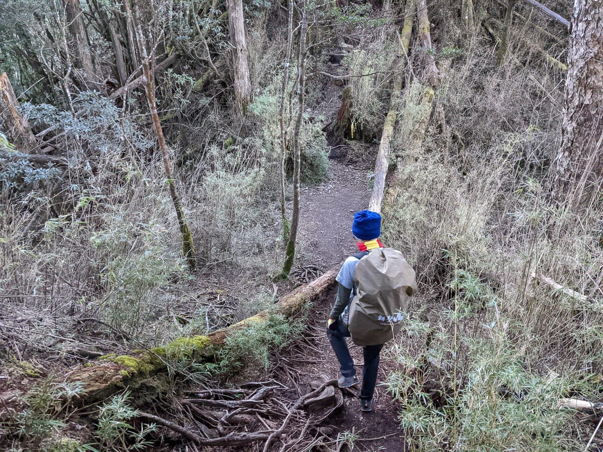 西巒大山難度？南投百岳單攻聖品玉山最北端冬天出大景