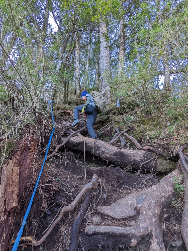 西巒大山難度？南投百岳單攻聖品玉山最北端冬天出大景